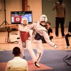championnat Taekwondo Paris taekoo_Alex2