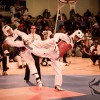 championnat Taekwondo Paris taekoo_Yoos