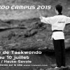 Taekoo_stage-annecy-2